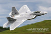 Freewing F-22 Raptor High Performance 70mm EDF Jet – PNP FJ22211P